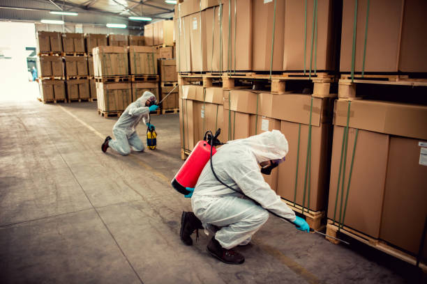Best Ant Control Services  in Naugatuck, CT