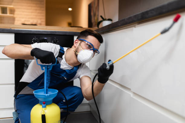 Best Affordable Pest Control Services  in Naugatuck, CT