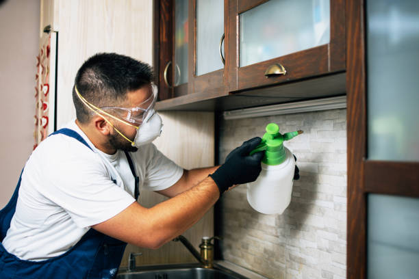 Best Pest Control Treatment  in Naugatuck, CT