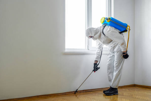 Wildlife Control Services in Naugatuck, CT
