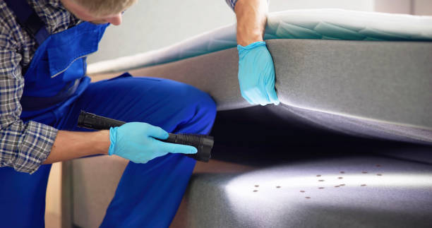 Trusted Naugatuck, CT Pest Control Experts