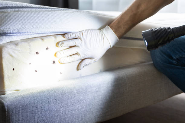Best Commercial Pest Control Services  in Naugatuck, CT