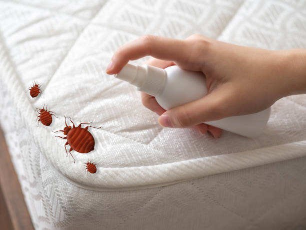 Best Commercial Pest Control Services  in Naugatuck, CT