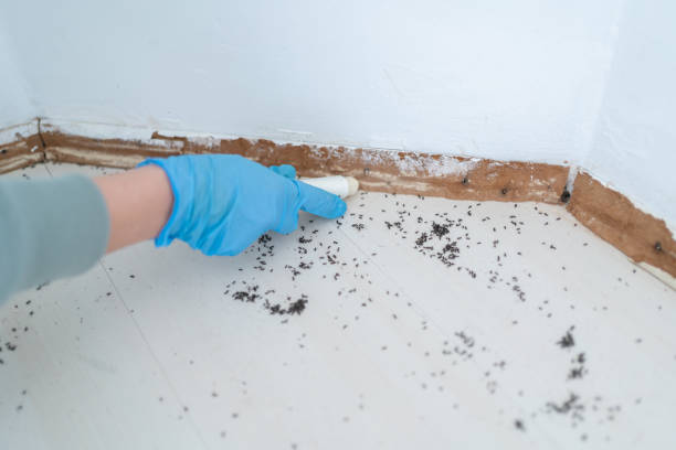 Best Residential Pest Control  in Naugatuck, CT