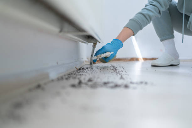 Best Pest Inspection Near Me  in Naugatuck, CT